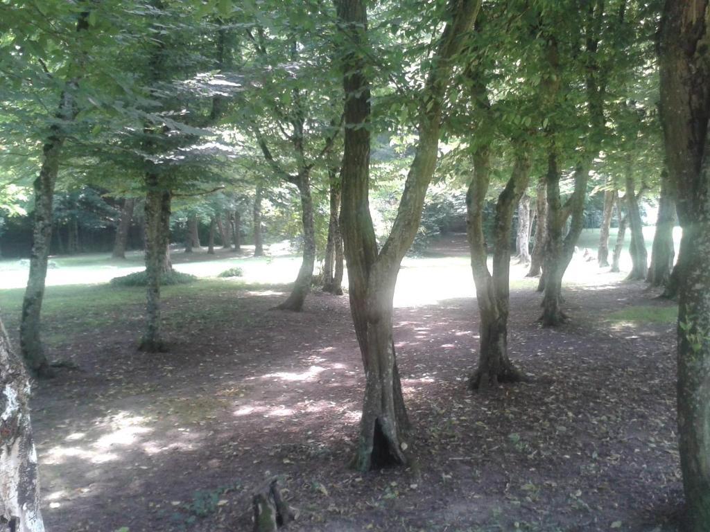 La Passagere Panzió Hauterive  Kültér fotó